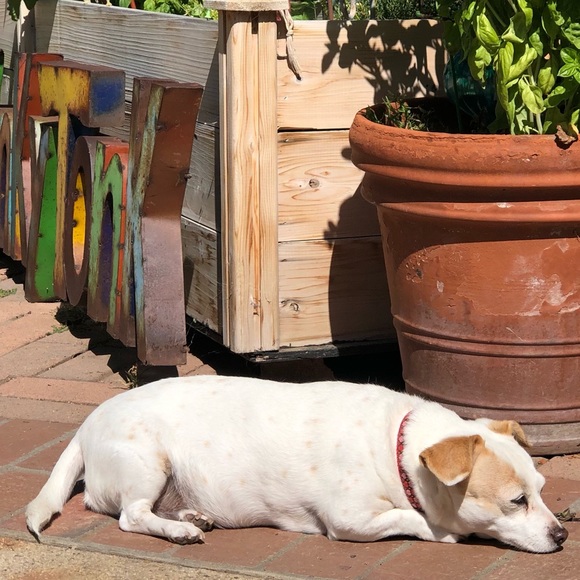 Meet your Posher, Sally - Picture 14 of 16